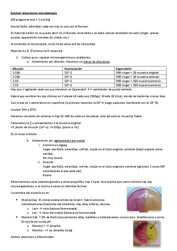 Miniatura del documento Examen-laboratorio-microbiologia.pdf