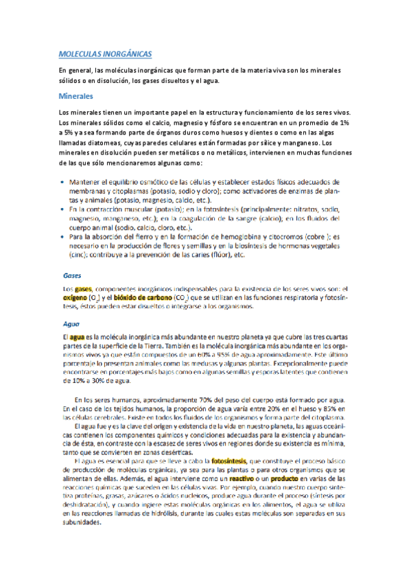 Miniatura del documento MOLECULAS-INORGANICAS.pdf