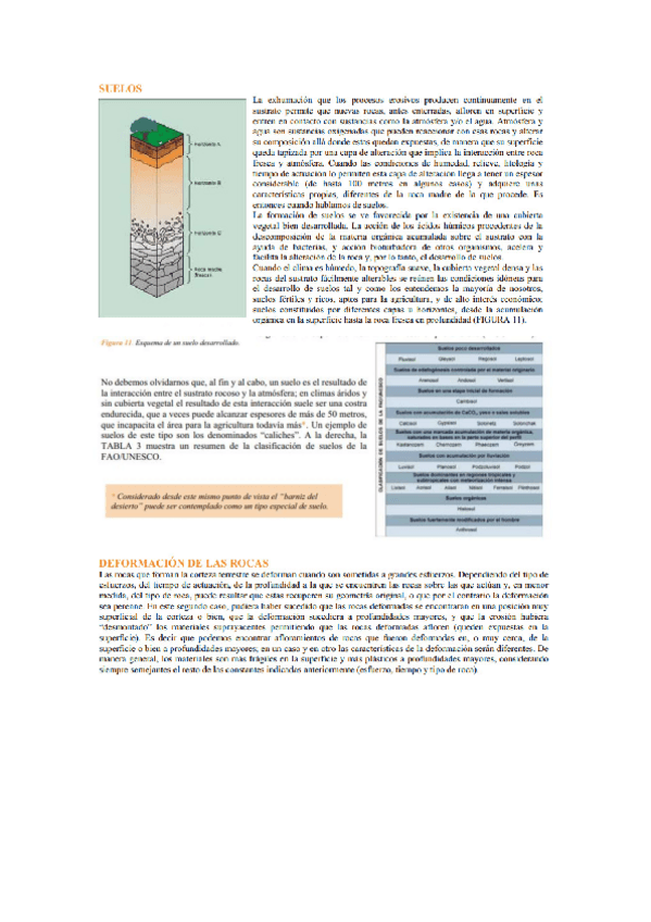 Miniatura del documento SUELOS-Y-ROCAS.pdf