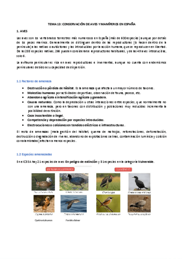 Miniatura del documento Tema-13-y-14.pdf