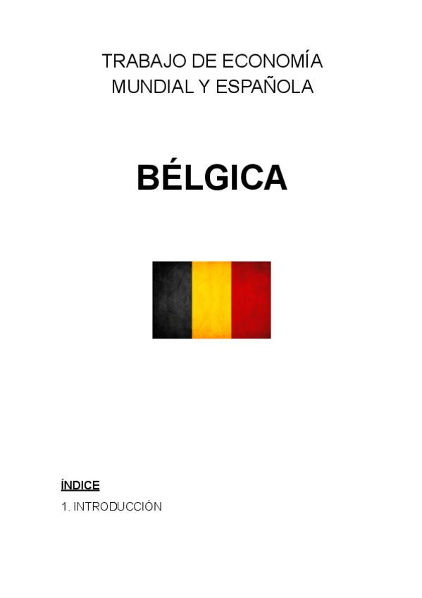 Miniatura del documento trabajo belgica.pdf
