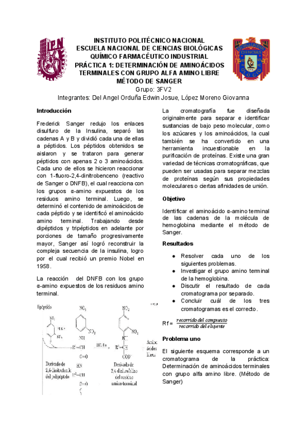 Miniatura del documento P1-DOEJ-LMG.pdf