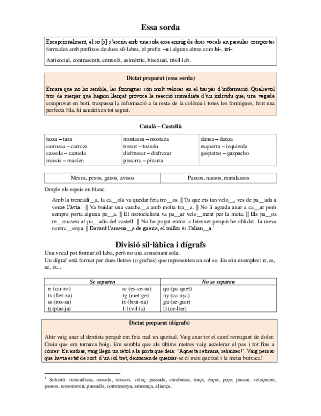 Miniatura del documento Essa-sorda-i-digrafs.pdf