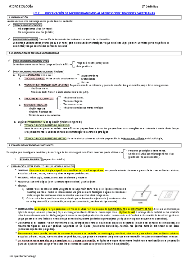Miniatura del documento 7-OBSERVACION-DE-MICROORGANISMOS-AL-MICROSCOPIO.pdf