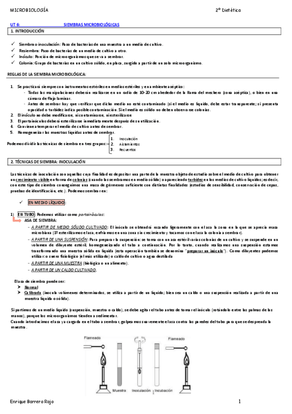 Miniatura del documento 6-SIEMBRAS-MICROBIOLOGICAS.pdf