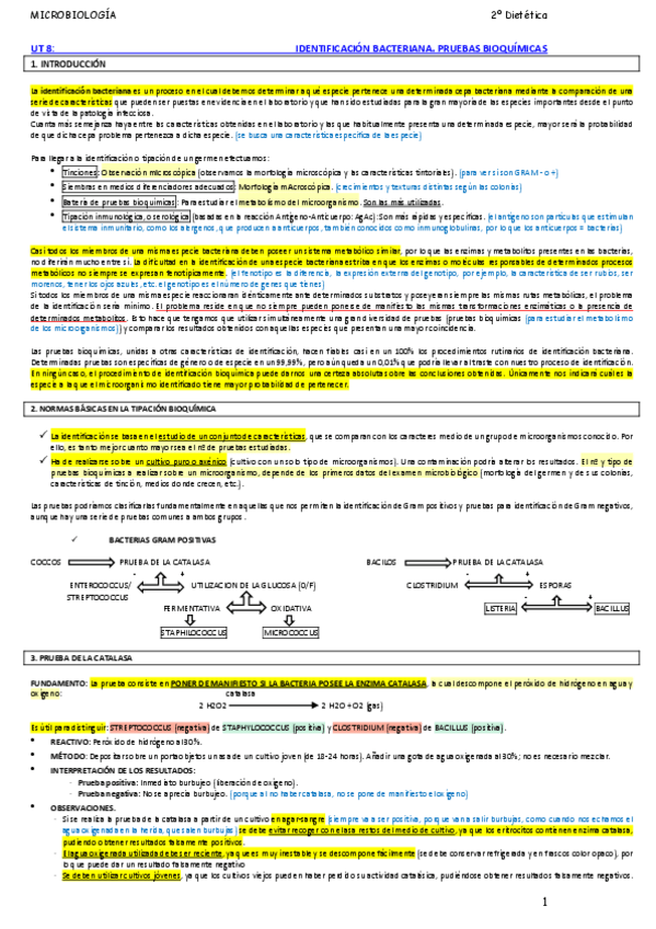 Miniatura del documento 8-IDENTIFICACION-BACTERIANA.pdf