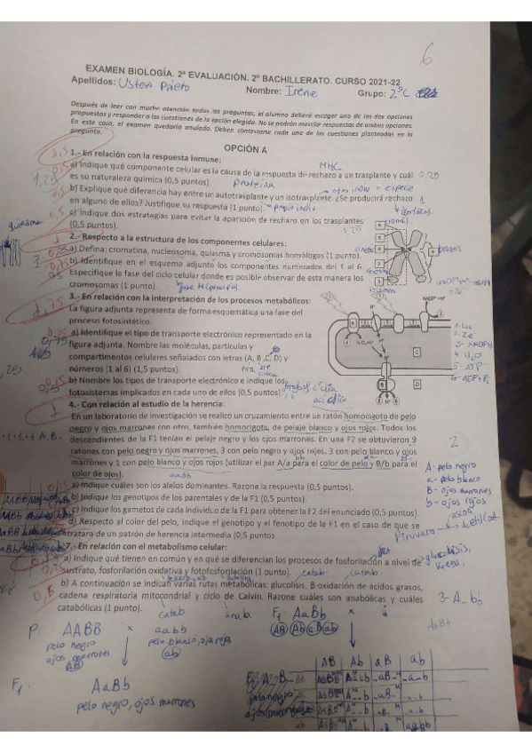 Miniatura del documento Enunciados-globan-2o-Evaluacion.pdf