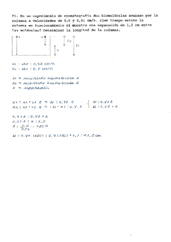 Miniatura del documento Ejercicios-Resueltos.pdf