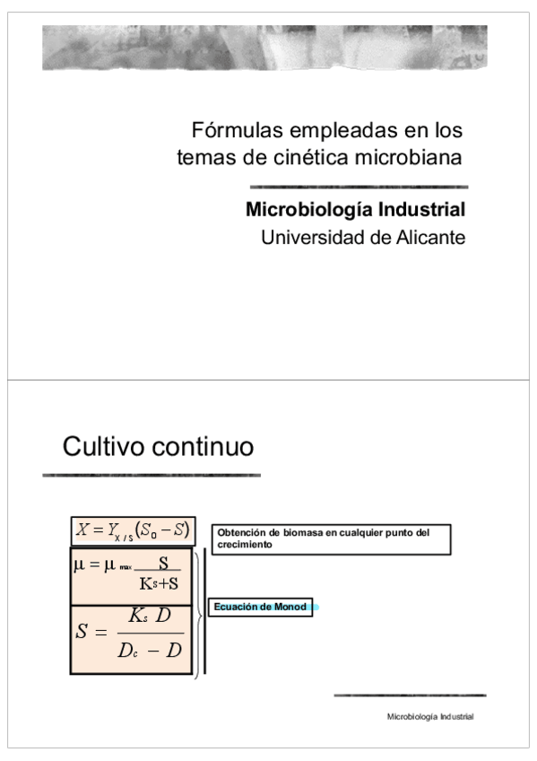 Miniatura del documento PROBLEMAS-.pdf