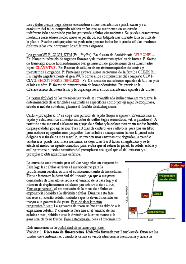 Miniatura del documento Examen vegetal 2022
