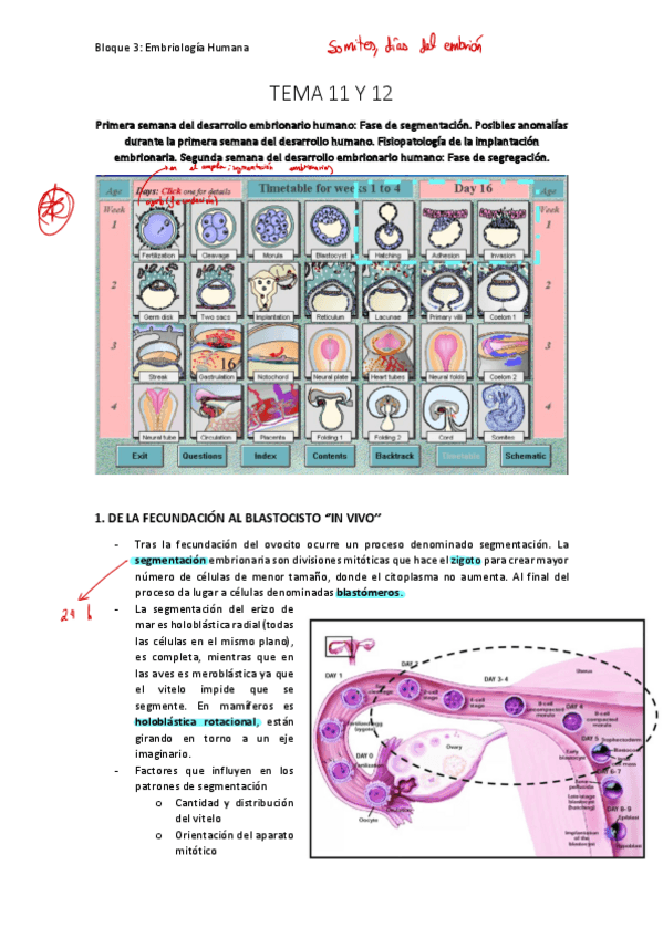 Miniatura del documento Parte 2