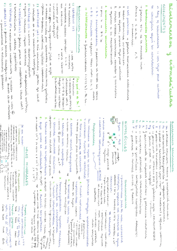 Miniatura del documento Resumen-bioelementos-y-biomoleculas.pdf