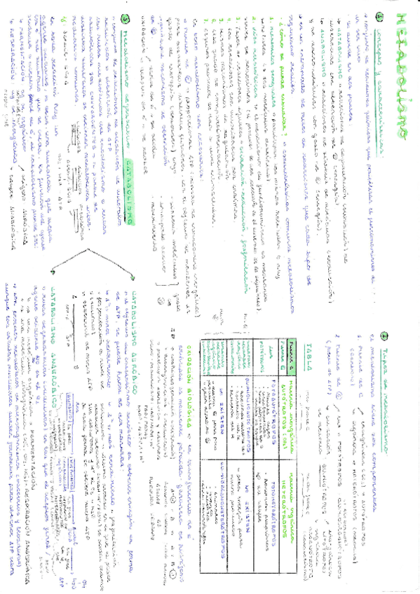 Miniatura del documento Metabolismo-introduccion-resumen.pdf