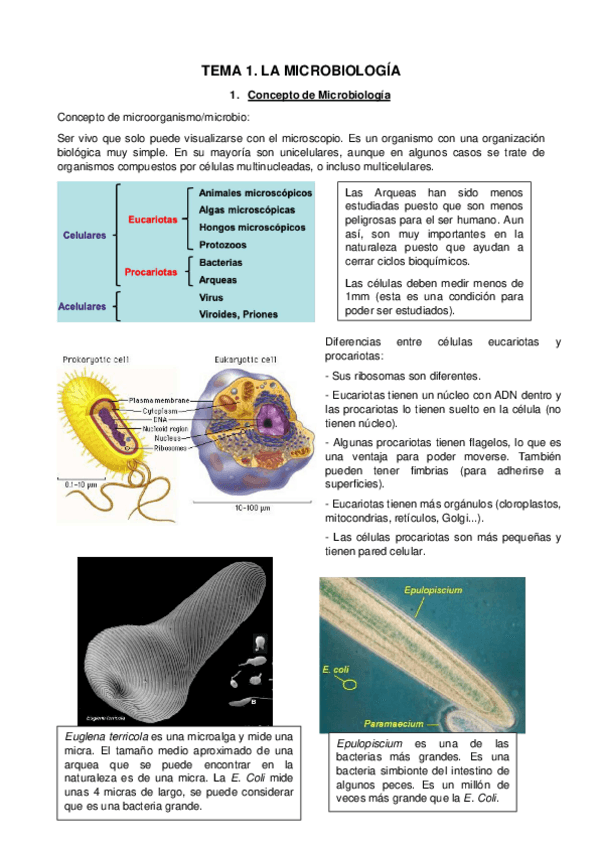Miniatura del documento TEMA-1.pdf