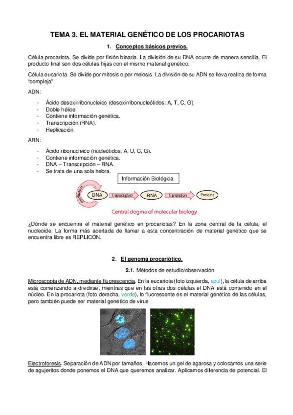 Miniatura del documento TEMA-3.pdf
