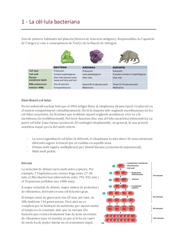 Miniatura del documento 1-La-cel-bacteriana.pdf