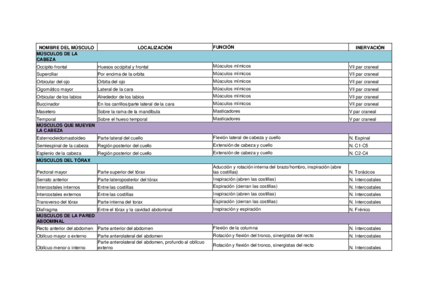 Miniatura del documento Musculos.pdf