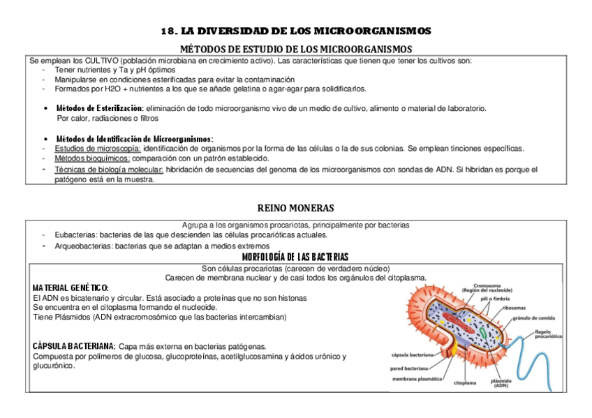 Miniatura del documento 18.pdf
