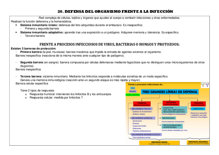 Miniatura del documento 20.pdf
