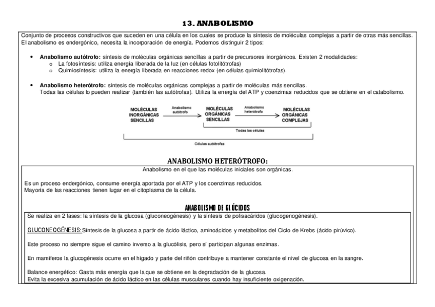 Miniatura del documento 13.pdf