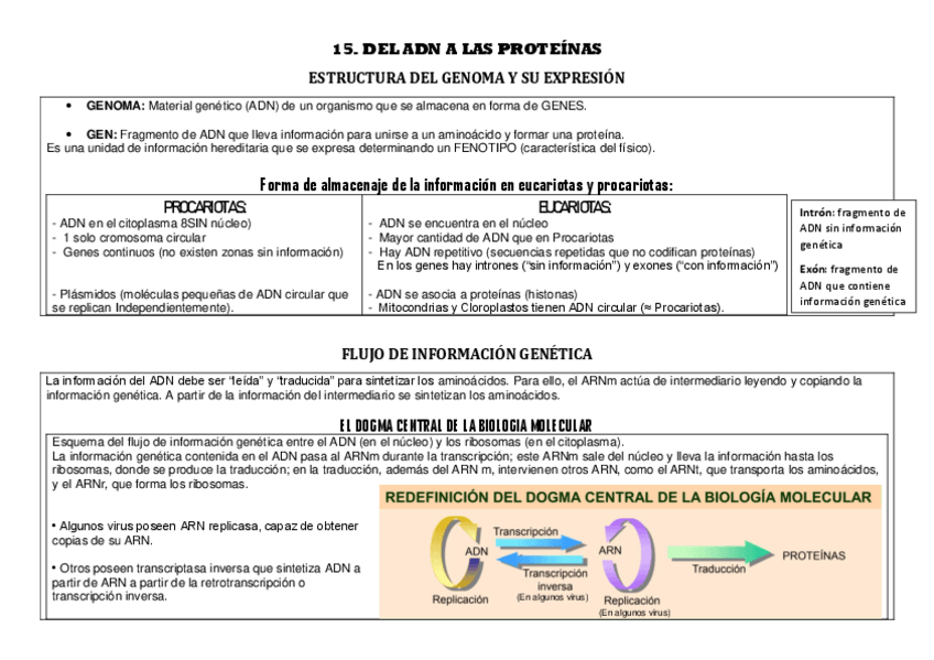 Miniatura del documento 15.pdf