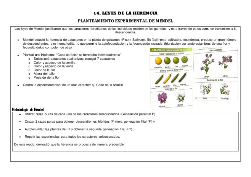 Miniatura del documento 14.pdf