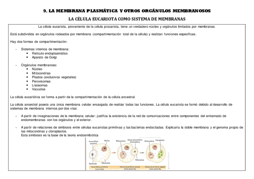Miniatura del documento 9.pdf