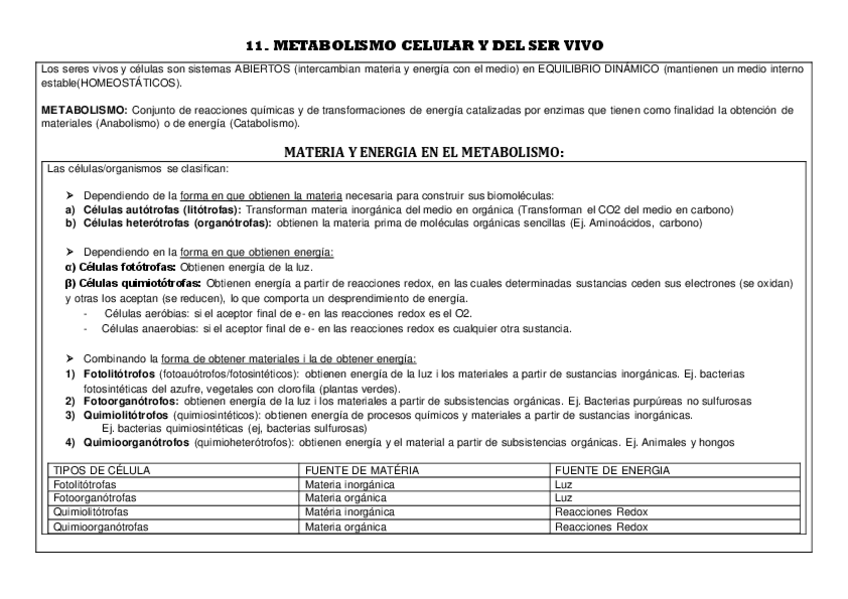 Miniatura del documento 11.pdf