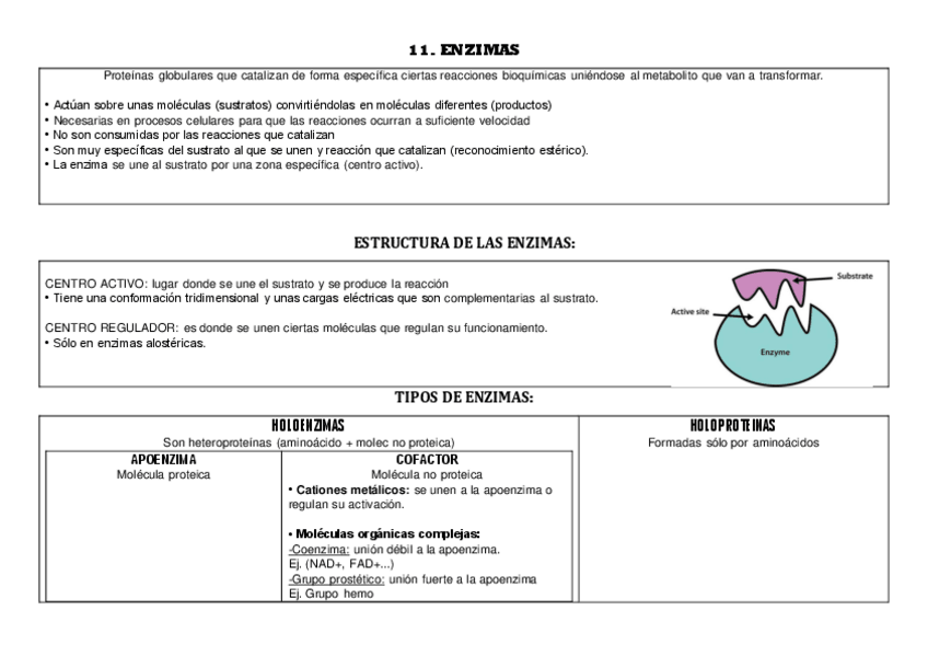 Miniatura del documento 11.pdf