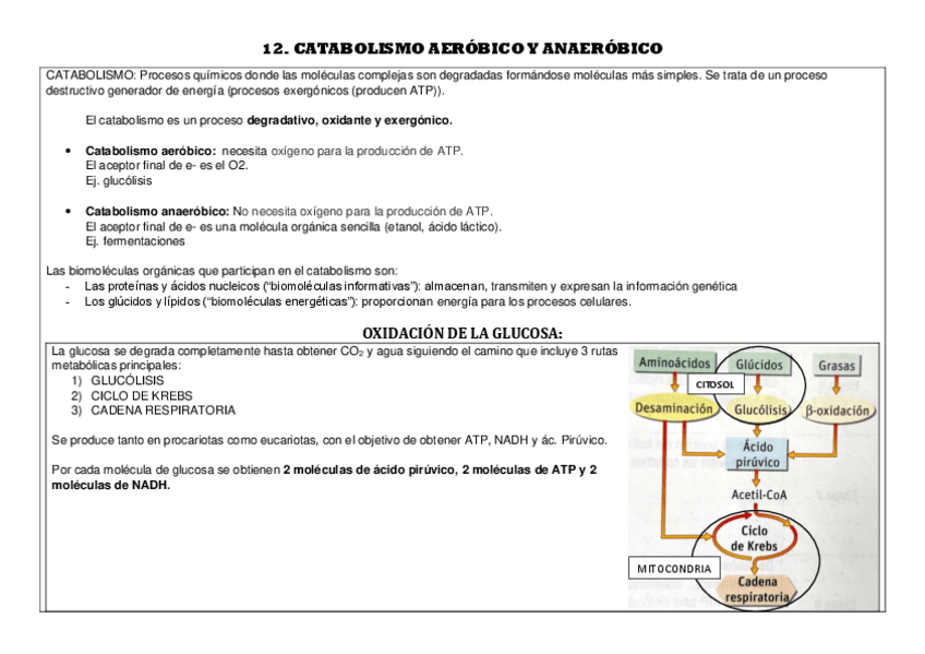 Miniatura del documento 12.pdf