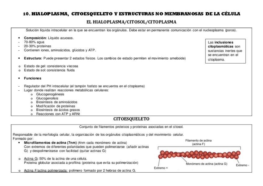 Miniatura del documento 10.pdf