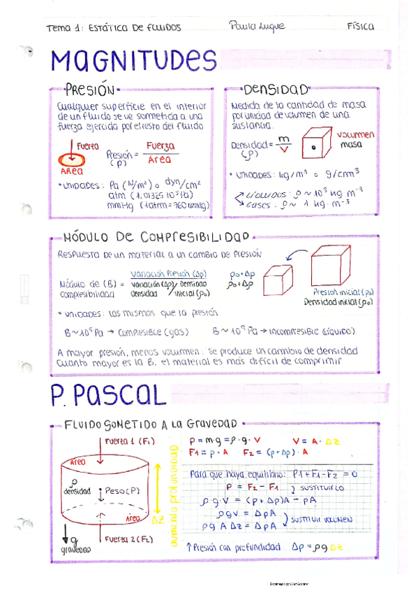 Miniatura del documento Apuntes-Fisica-PaulaLuque.pdf