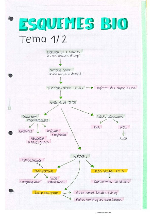 Miniatura del documento Esquemes-Bio-Paula-Luque.pdf