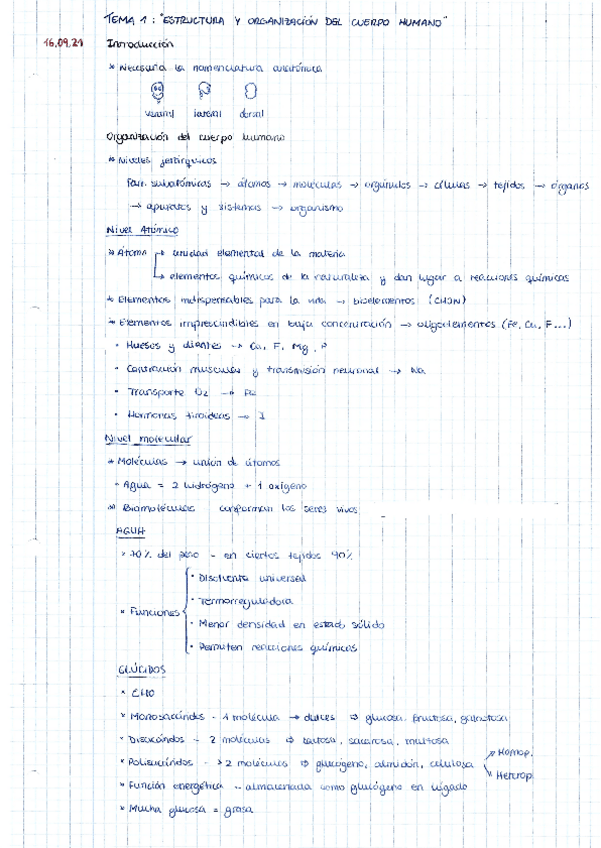 Miniatura del documento Tema-1.pdf