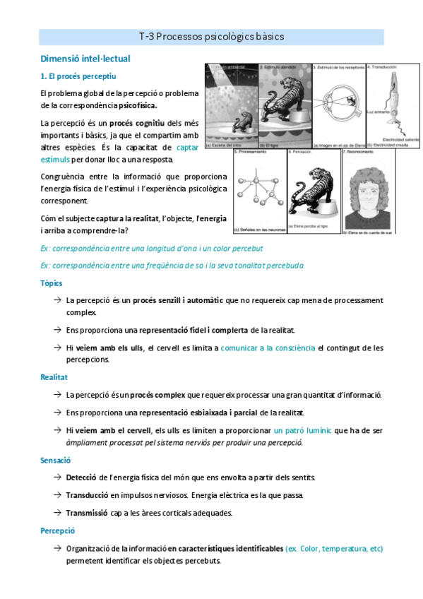 Miniatura del documento T-3.pdf
