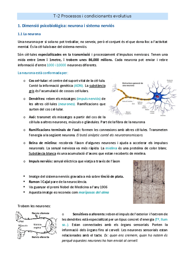Miniatura del documento T-2.pdf