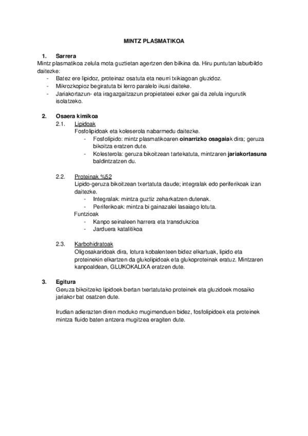 Miniatura del documento MINTZ-PLASMATIKOA.pdf