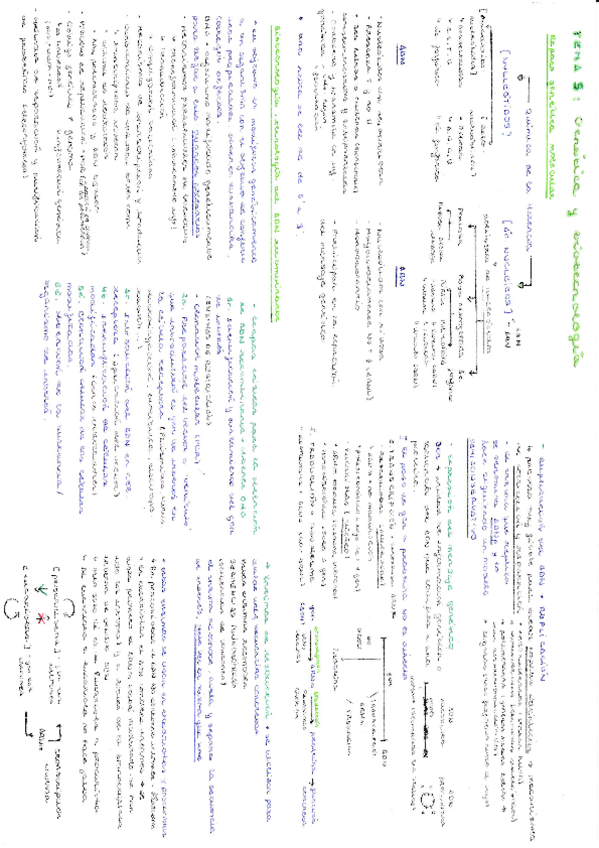 Miniatura del documento Resumen-genetica-y-biotecnologia.pdf