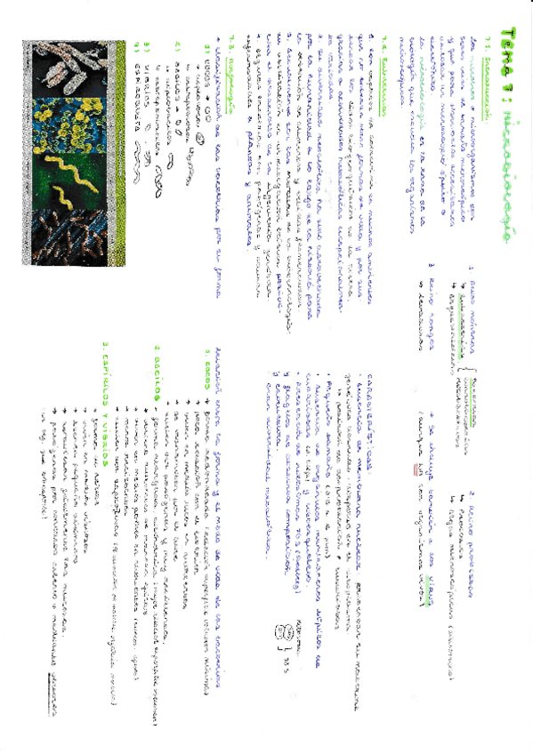 Miniatura del documento Resumen-microbiologia.pdf