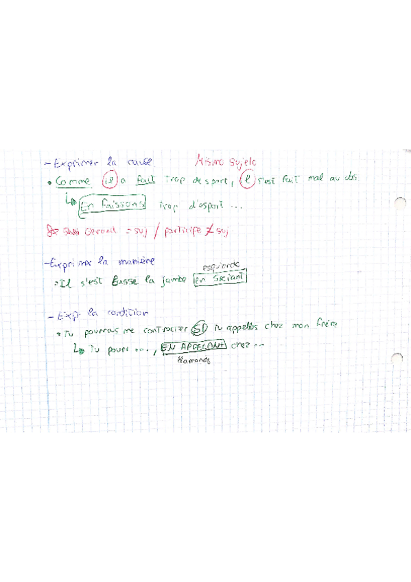 Miniatura del documento participe-present-et-gerondif.pdf