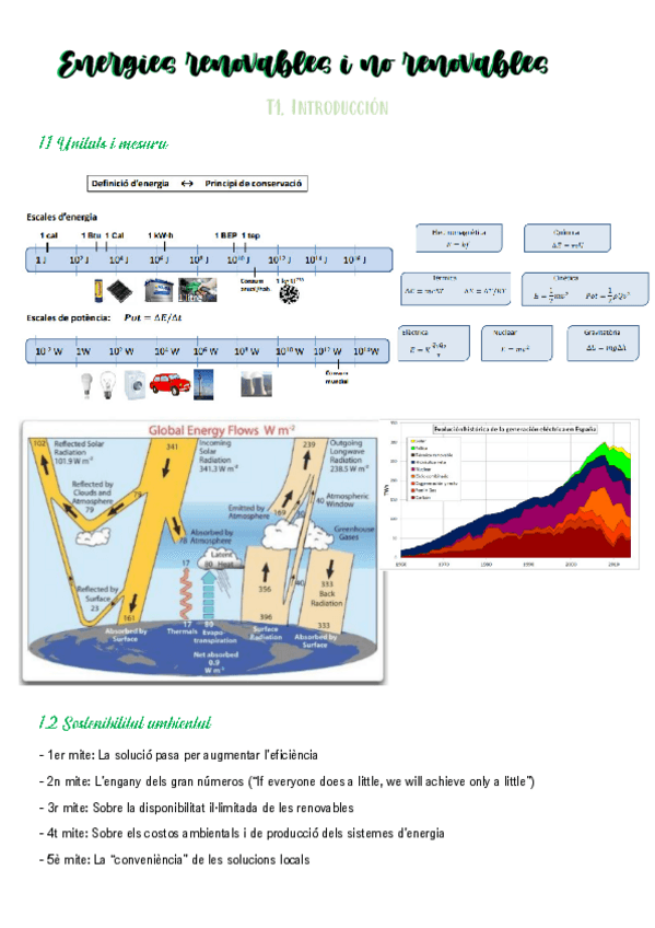 Miniatura del documento ERN.pdf