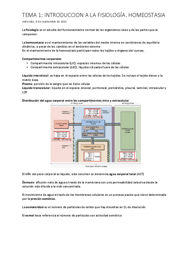 Miniatura del documento TEMAS 1-3.pdf