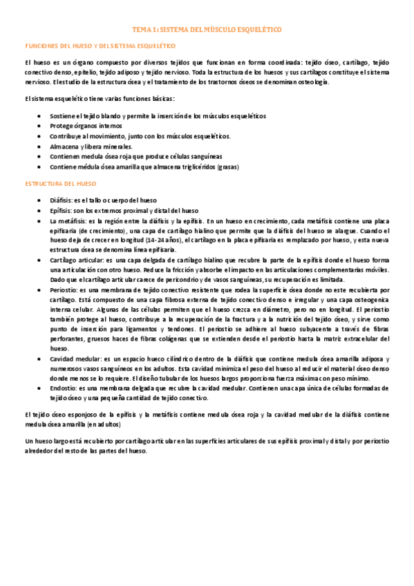 Miniatura del documento APUNTES COMPLETOS.pdf