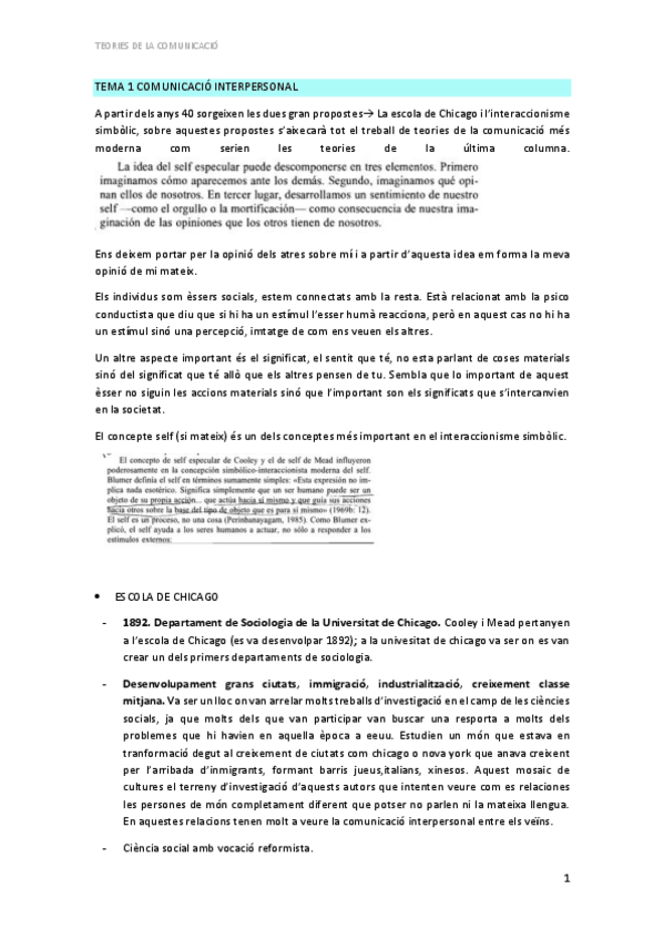 Miniatura del documento Apunts-imprimir-Teories.pdf