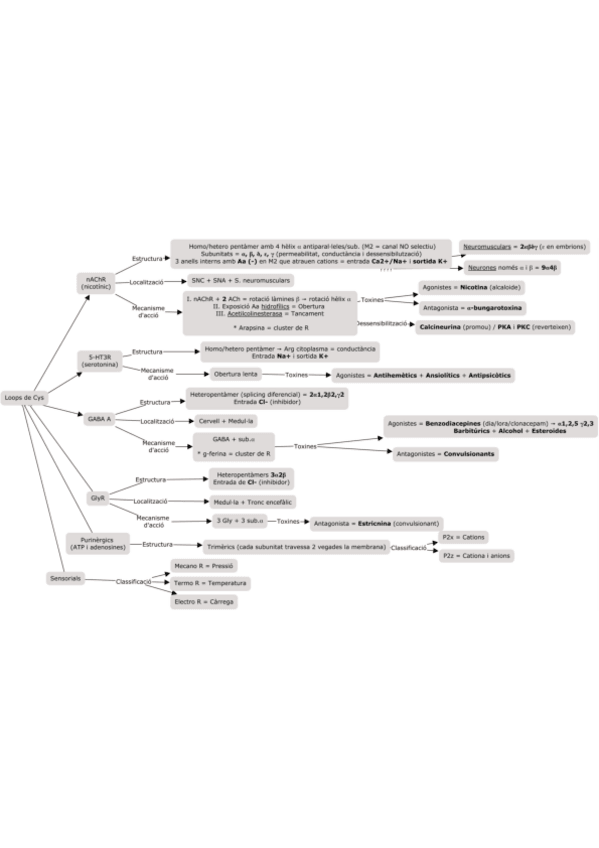 Miniatura del documento R.pdf