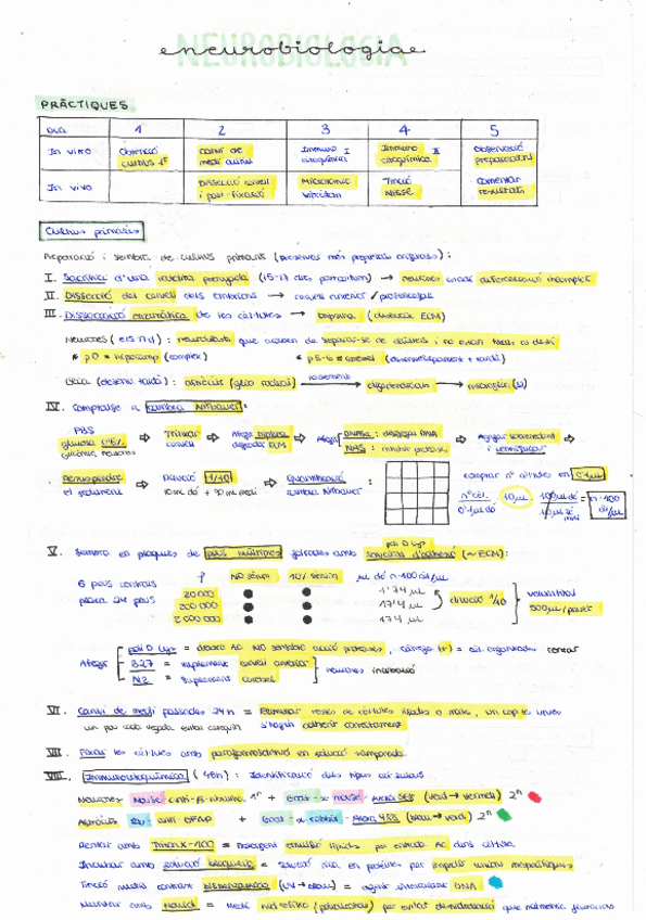 Miniatura del documento NEUROBIOLOGIA-Practiques.pdf