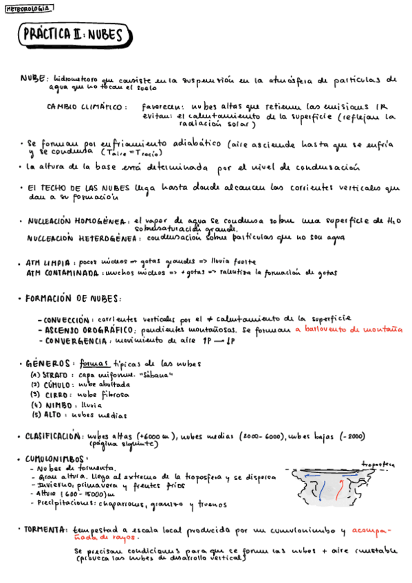 Miniatura del documento M-RESUMEN-NUBES.pdf