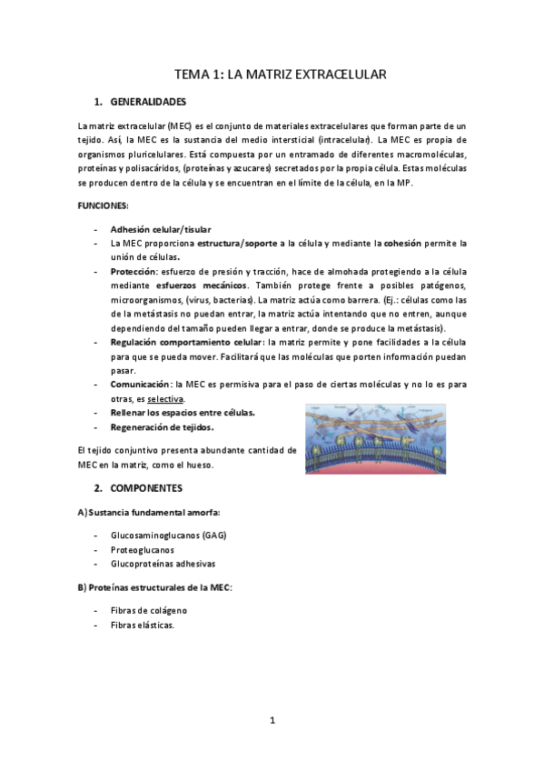 Miniatura del documento Apuntes-biologia.pdf