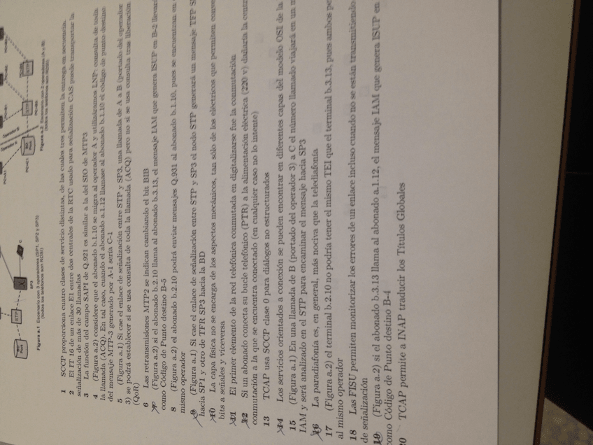 Miniatura del documento IMG_9624.JPG