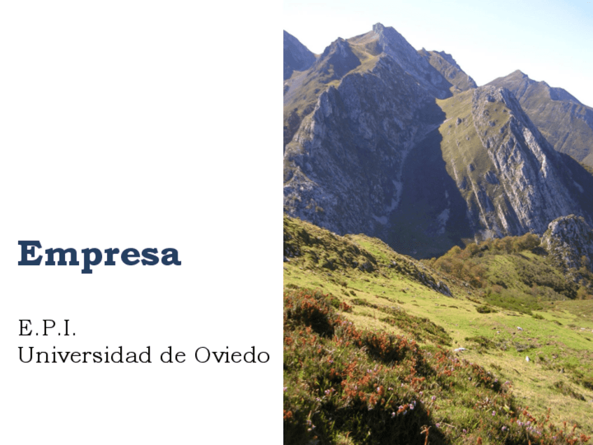 Miniatura del documento 01_Empresa.pdf